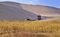Tranport in Dunhuang