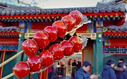Candied haws on a stick