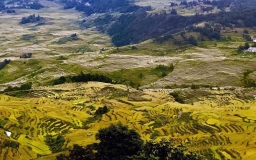 Honghe Hani Rice Terraces