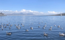 Qinghai Lake