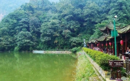 Mt Qingcheng & Dujiangyan 