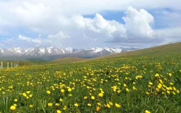 Karajun Grassland 