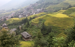 Longji Terraces