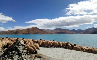 8 Days Lhasa Shigatse Everest Base Camp Join-in Small Group Tour