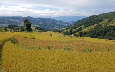 3-Day Jianshui and Yuanyang Hani Rice Terraces Group