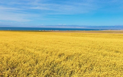 Private Day Tour to Qinghai Lake and Chaka Salt Lake from Xining