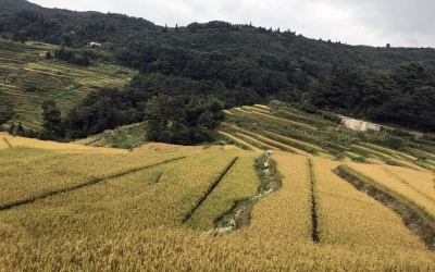 Private Overnight Tour to Yuanyang Rice Terraces from Kunming