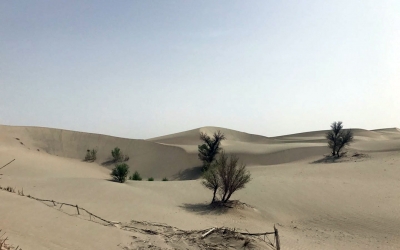 Explore Taklimakan Desert from Urumqi to Hotian and Kashgar
