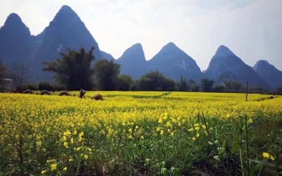 Explore Longji & Guilin by bullet train from Guangzhou 7D