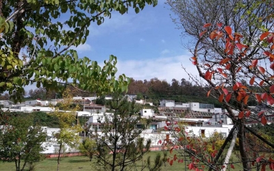 Private Day Tour to Kumbum Monastery, Dongguan Mosque in Xining from Lanzhou