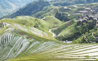 Private Day Tour to Longji Rice Terrace from Yangshuo