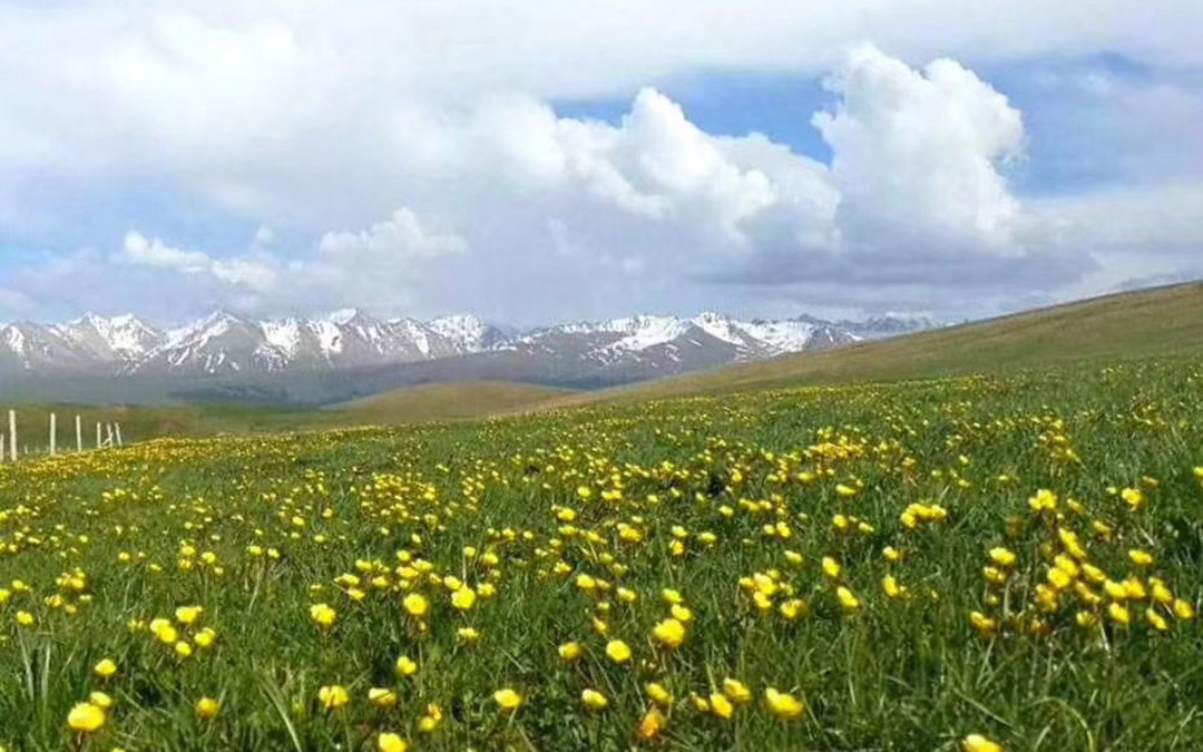 Karajun Grassland 