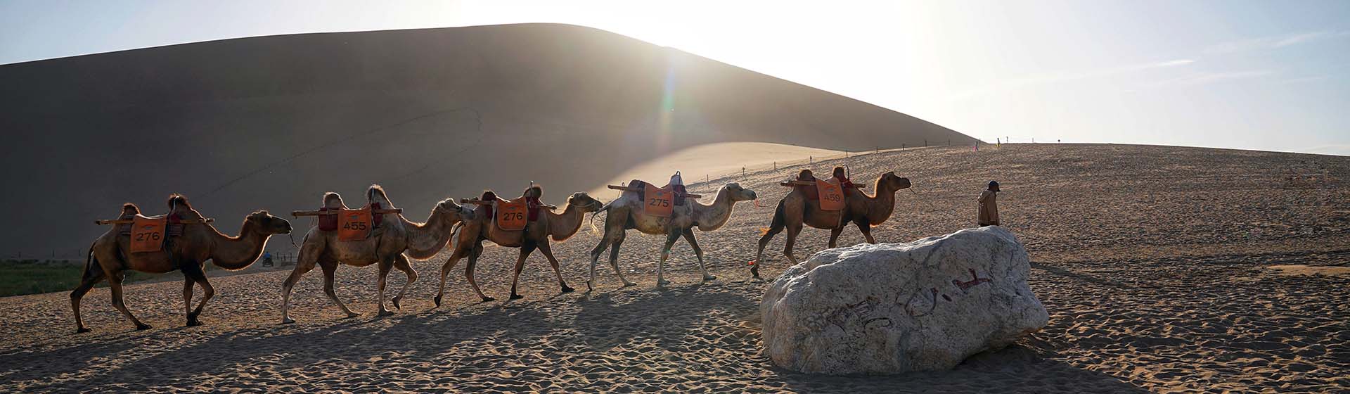Silk Road in Depth Tours